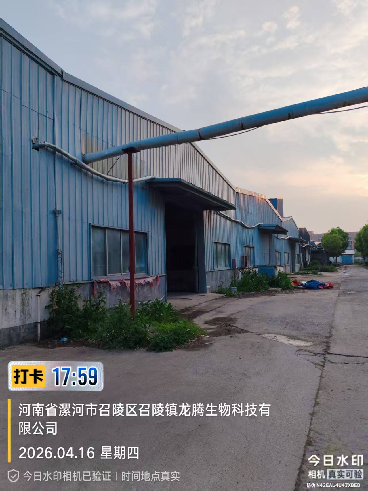 公司相册图片